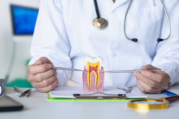 Best Emergency Dental Services for Seniors in Flower Hill, MD